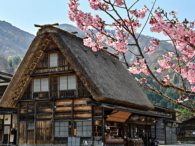 春の白川郷（イメージ）