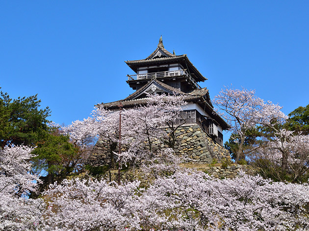 丸岡城（イメージ）