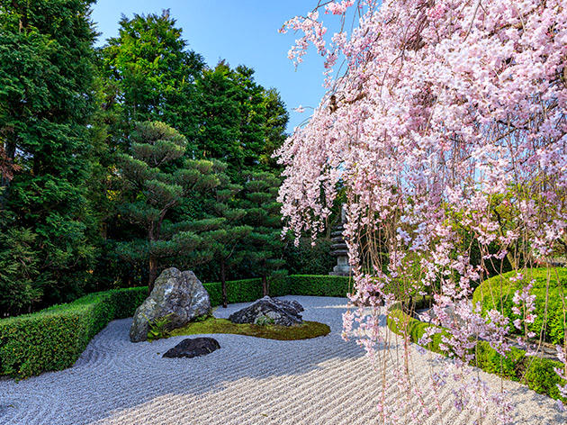 妙心寺(イメージ)