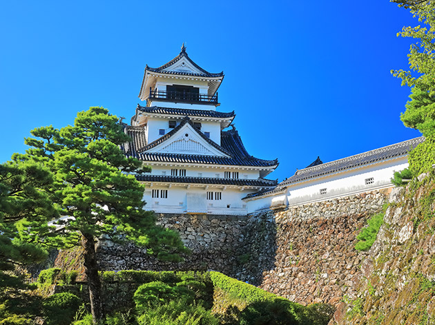 3日目：高知城（イメージ）