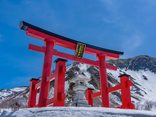 湯殿山神社大鳥居(イメージ)