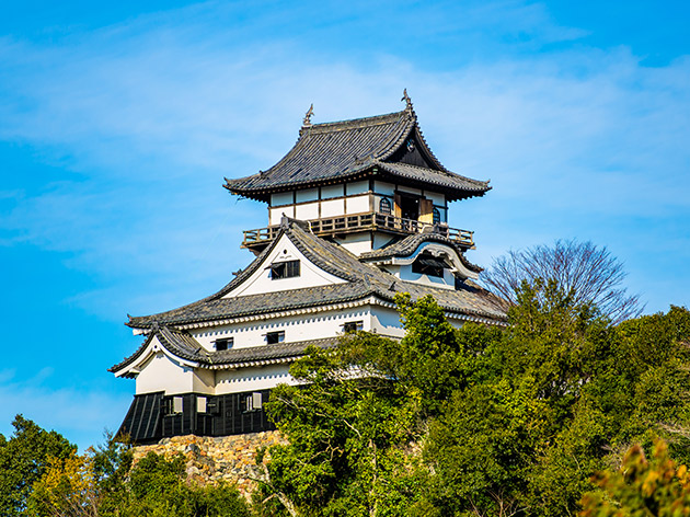 犬山城（イメージ）