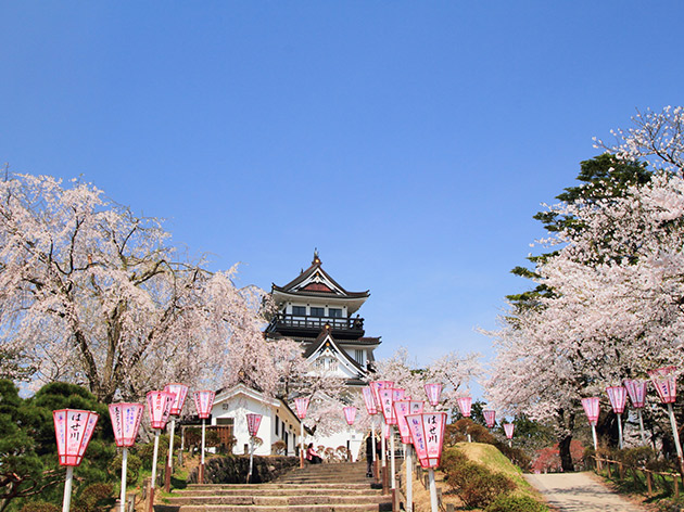 横手公園（イメージ）