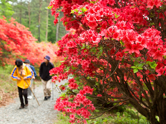 徳仙丈山（イメージ）